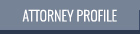 Attorney Profile David B. Feldman
